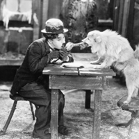 通販サイト一覧 life The Chaplin: Charlie story know not may you アート・デザイン・音楽