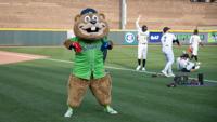 HOMESTAND HIGHLIGHTS: Jersey giveaway, Pride Night on tap this week for Gwinnett  Stripers, Sports