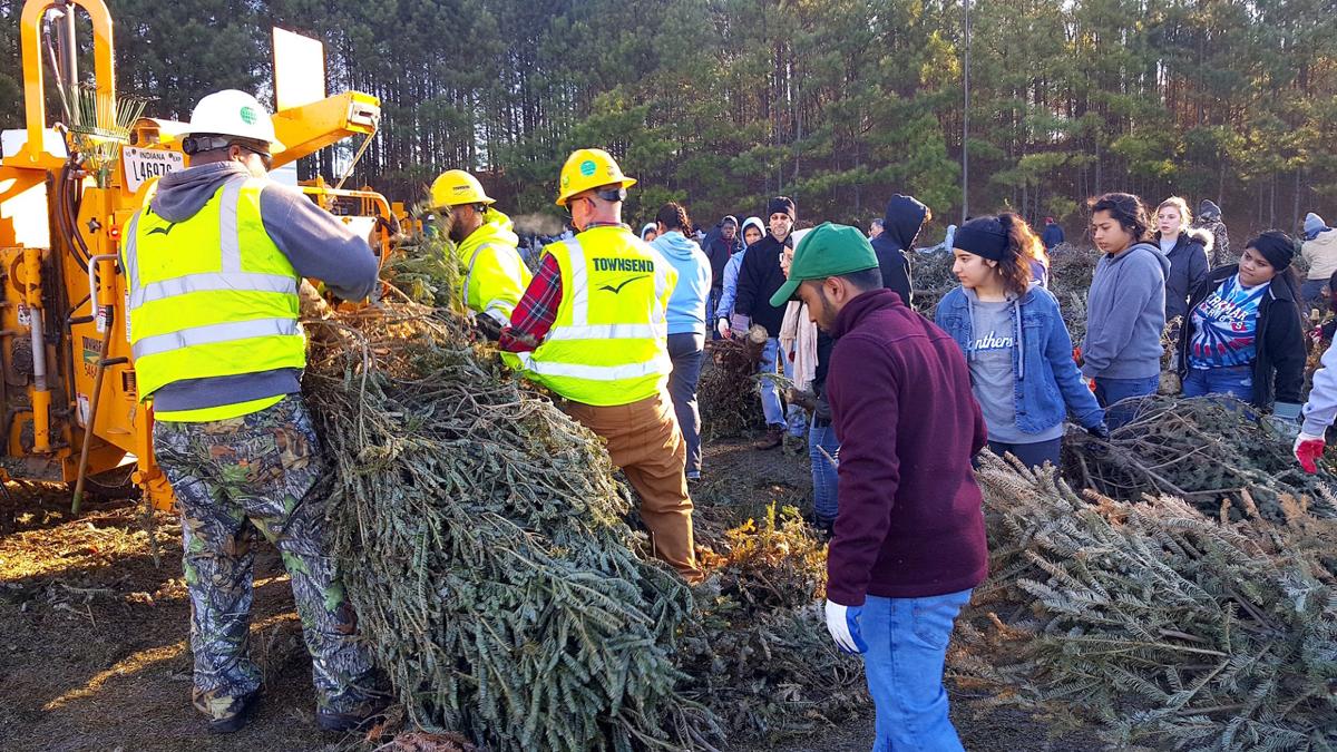 Gwinnett Residents Asked To Drop Off Christmas Trees For Recycling