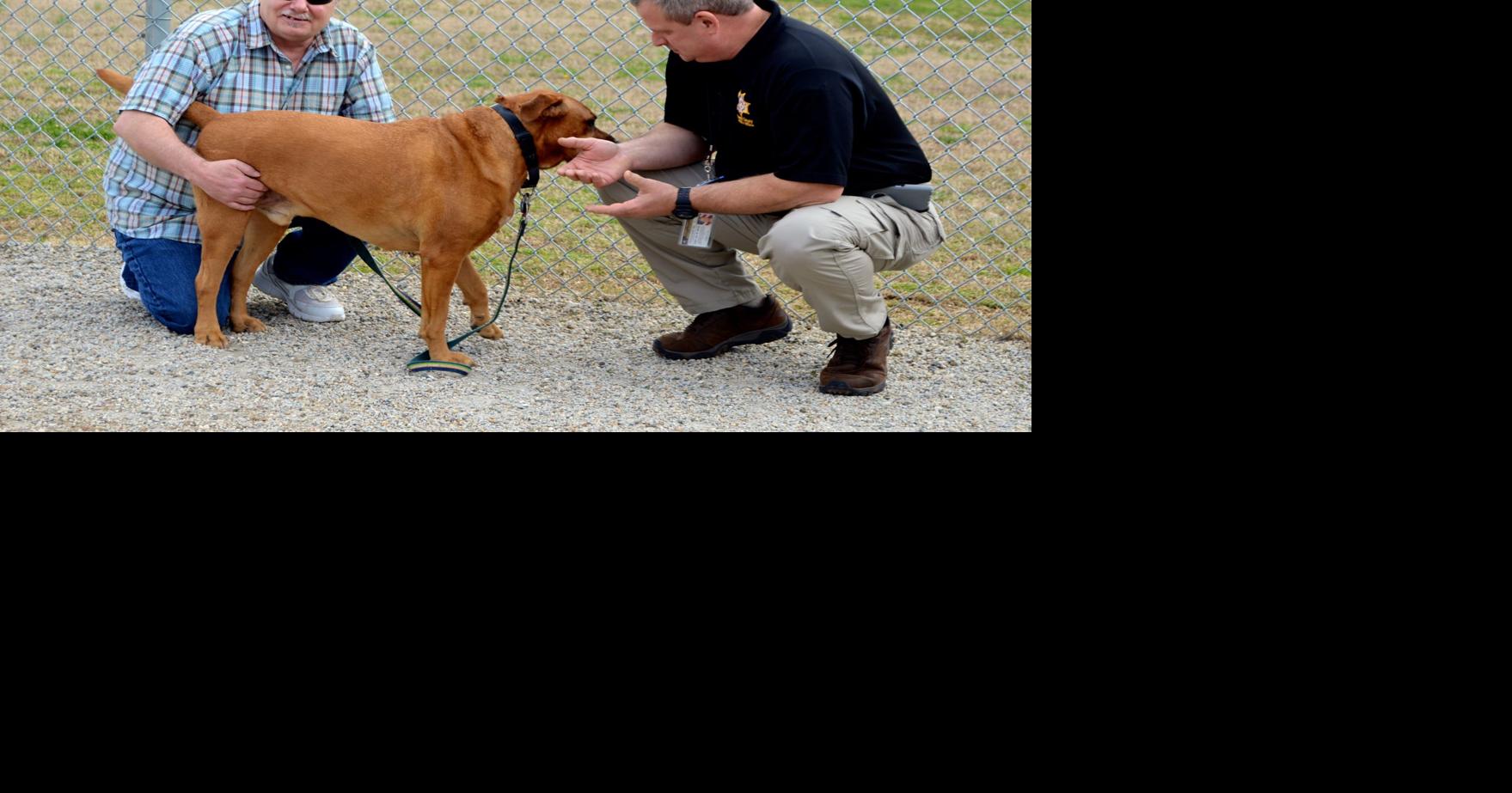 PHOTOS: Gwinnett County Jail Dogs program celebrates 500th dog adoption ...