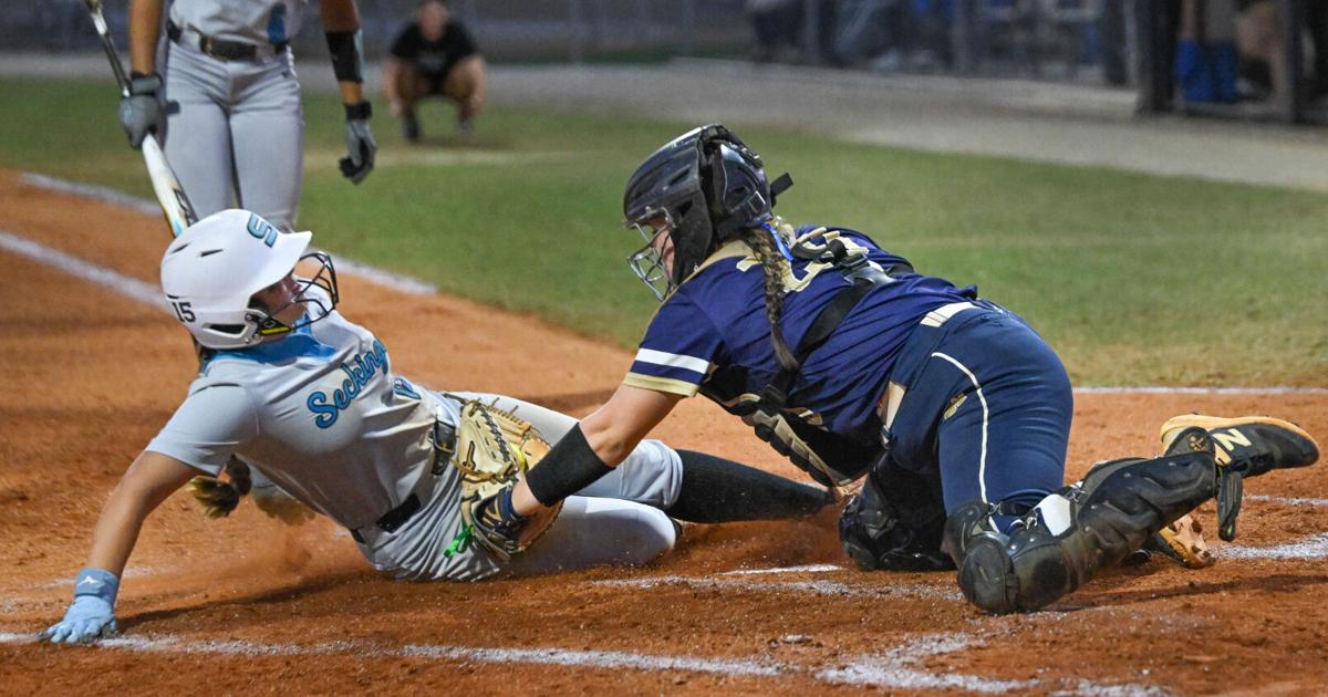 Seckinger Softball Rallies to Force Game 3 with Newnan