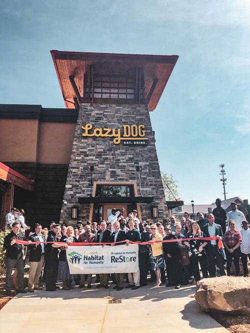 LAZY DOG RESTAURANT