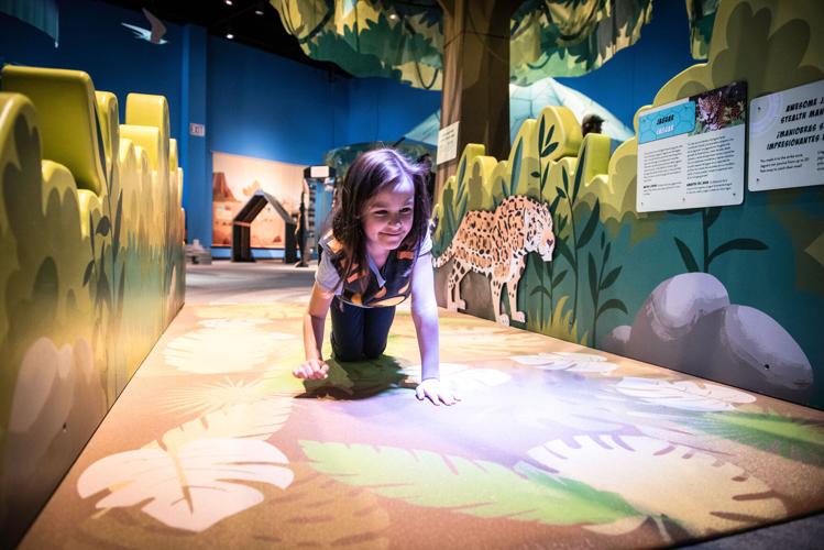 Creature Power!' — Wild Kratts exhibit opens at Children's ...