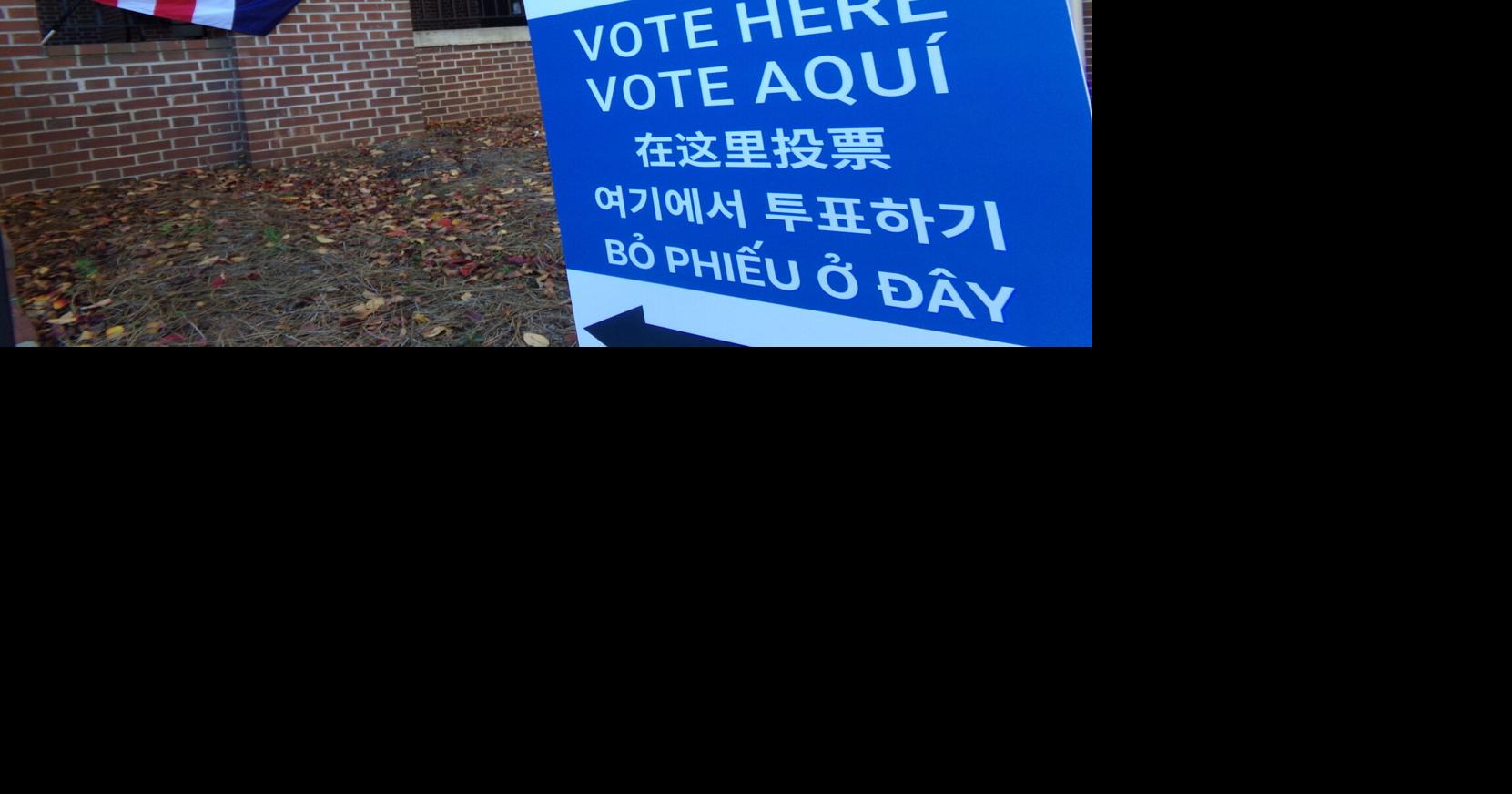 Gwinnett voters are also looking at homestead exemptions and city council vacancies