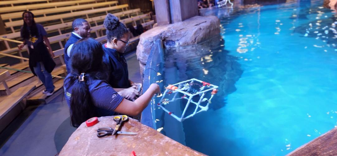 Group of Middle School Students Spend Spring Break Learning At