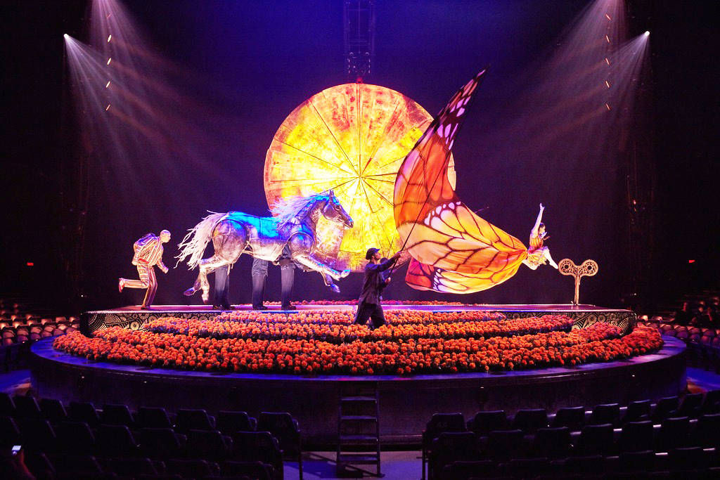 Luzia vega Luzia vega