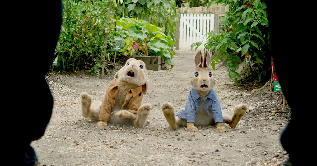 Bear Peter Rabbit MOVIE REVIEW: Predictably cute “Peter Rabbit” bears surprising wit ...