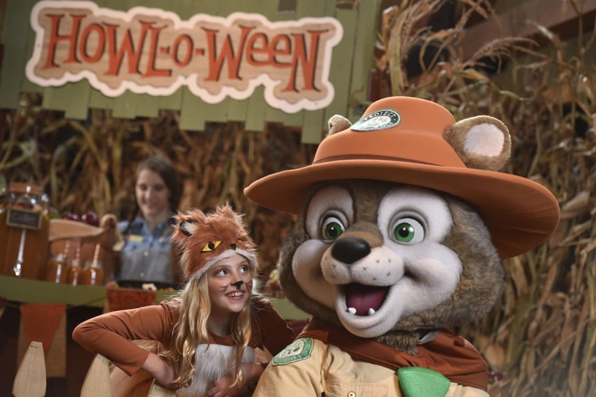 Its Howl O Ween This Month At Great Wolf Lodge In Lagrange