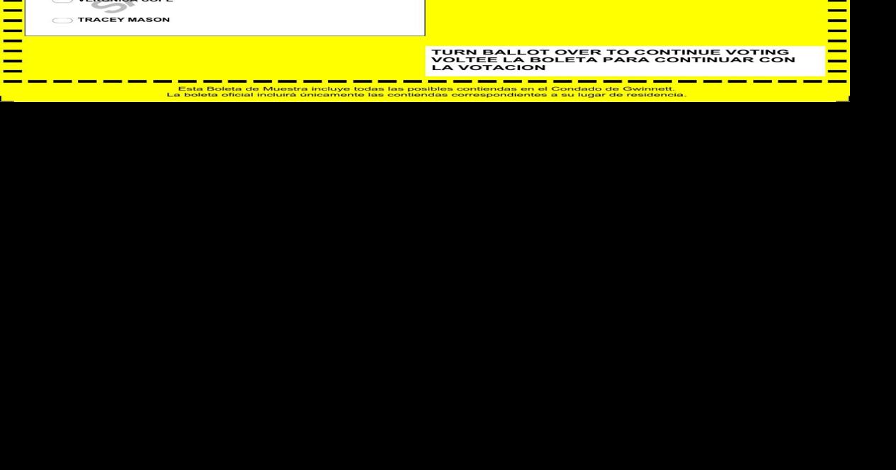 Democratic and Nonpartisan consolidated sample ballot