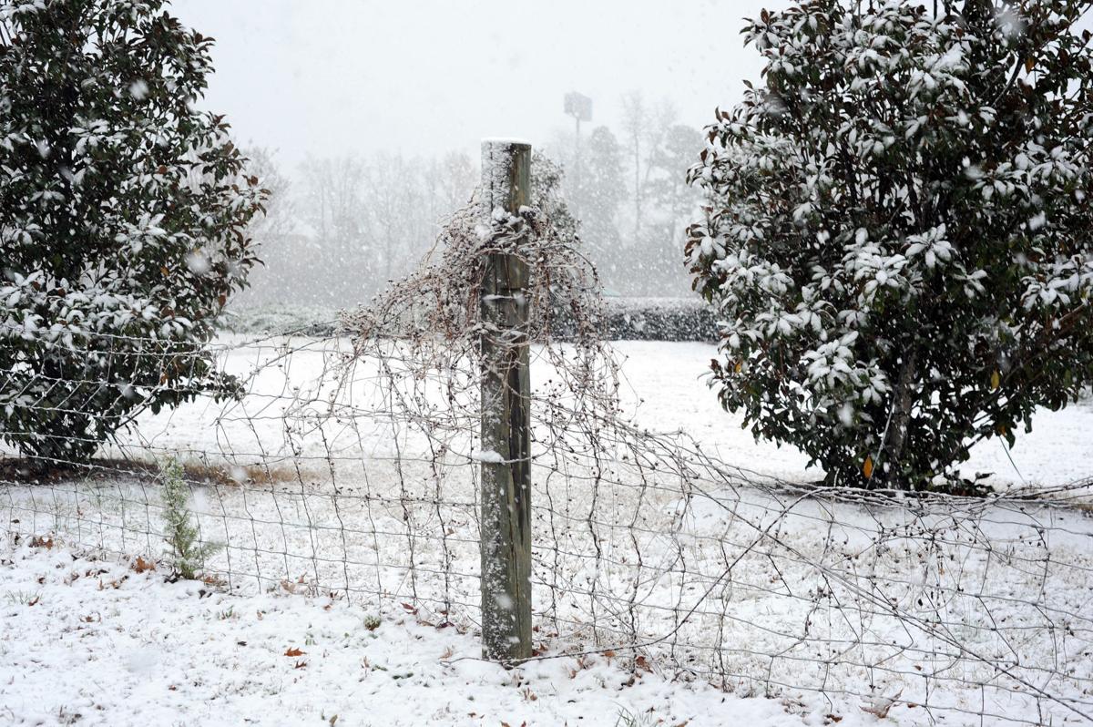 Gwinnett Survives Winter Storm That Hit Metro Atlanta News