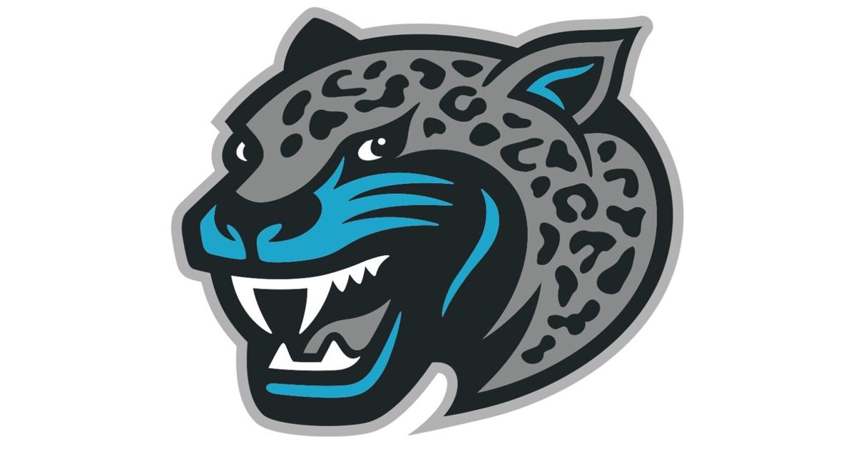 BOYS BASKETBALL ROUNDUP: Vincent Wells Game-Winner Lifts Seckinger