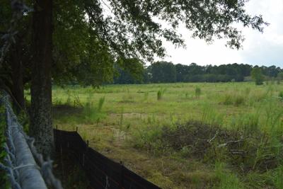 Covid 19 Pandemic Has Put The Redevelopment Of The Former Olympic Tennis Center Site On Pause News Gwinnettdailypost Com