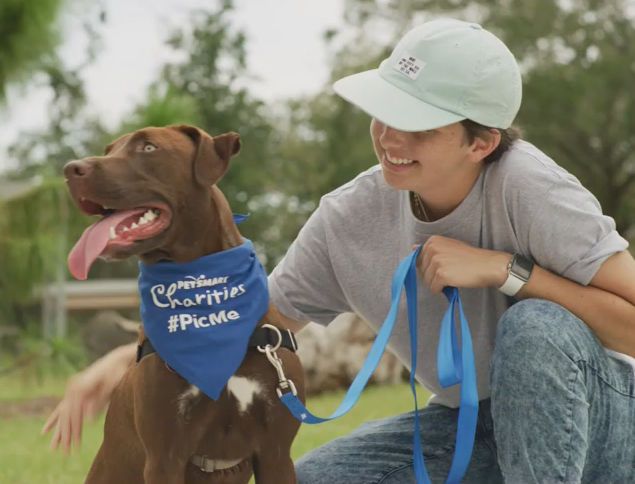 Petsmart S National Adoption Weekend Begins Friday News Petsmart S National Adoption Weekend Begins Friday News Gwinnettdailypost Com