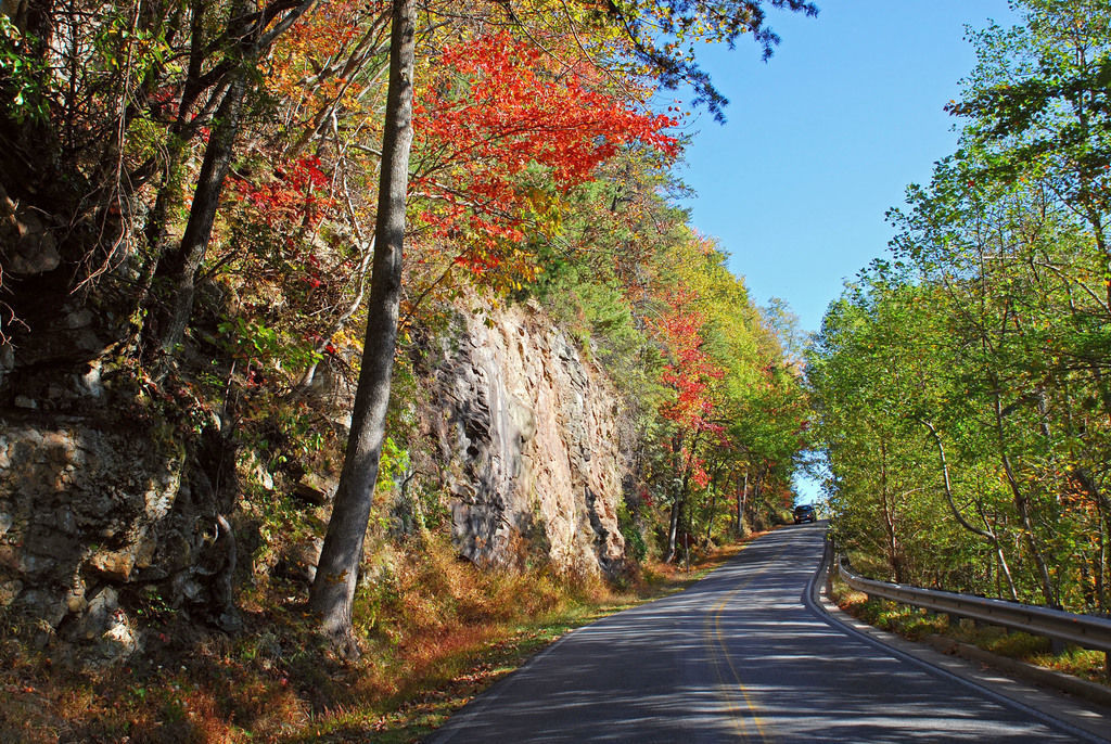 Fall Foliage in North state parks Multimedia