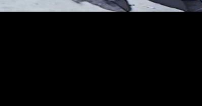 Man In Wheelchair Accused Of Stealing Thousands From Bar's Gaming Machine - Vimarsana News