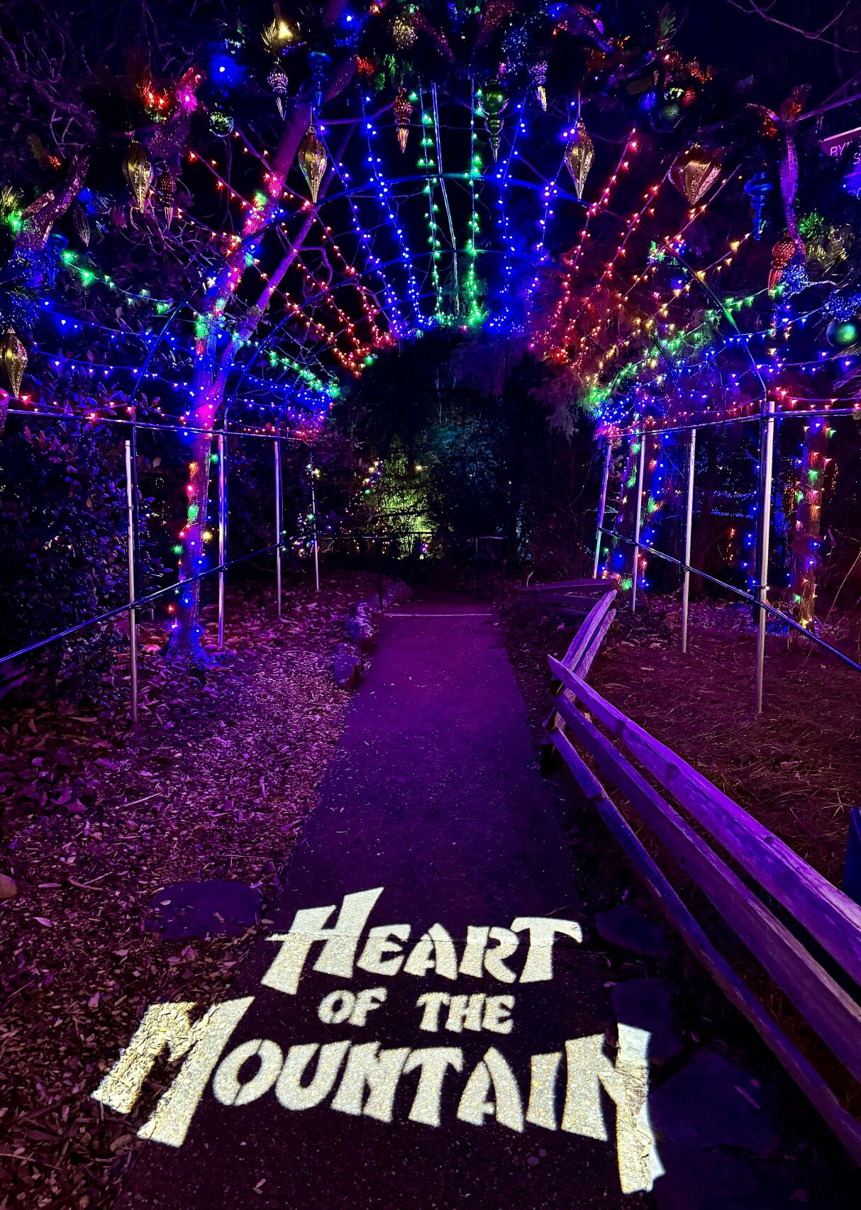 Rock City Enchanted Garden Of Lights Promotional Code Fasci Garden