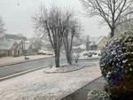 snow4.jpeg