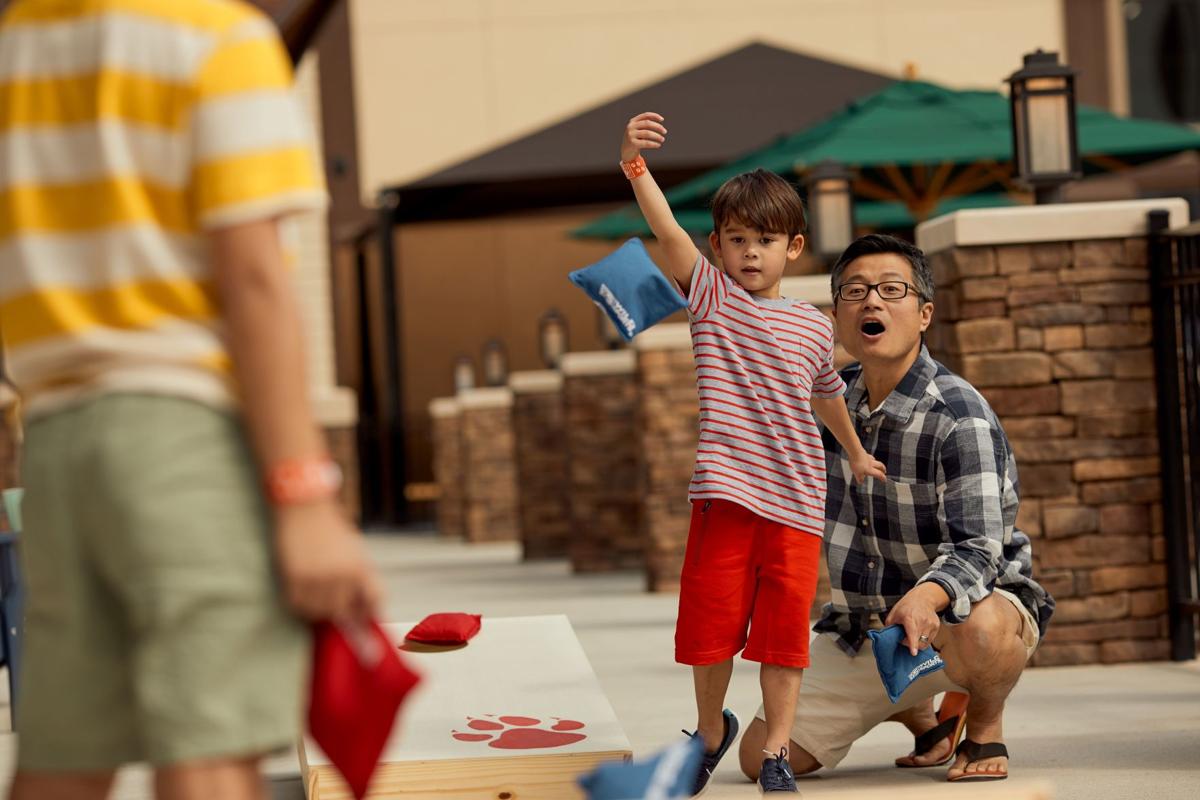 Great Wolf Lodge Featuring Camp In Experience This Summer Entertainment Gwinnettdailypost Com