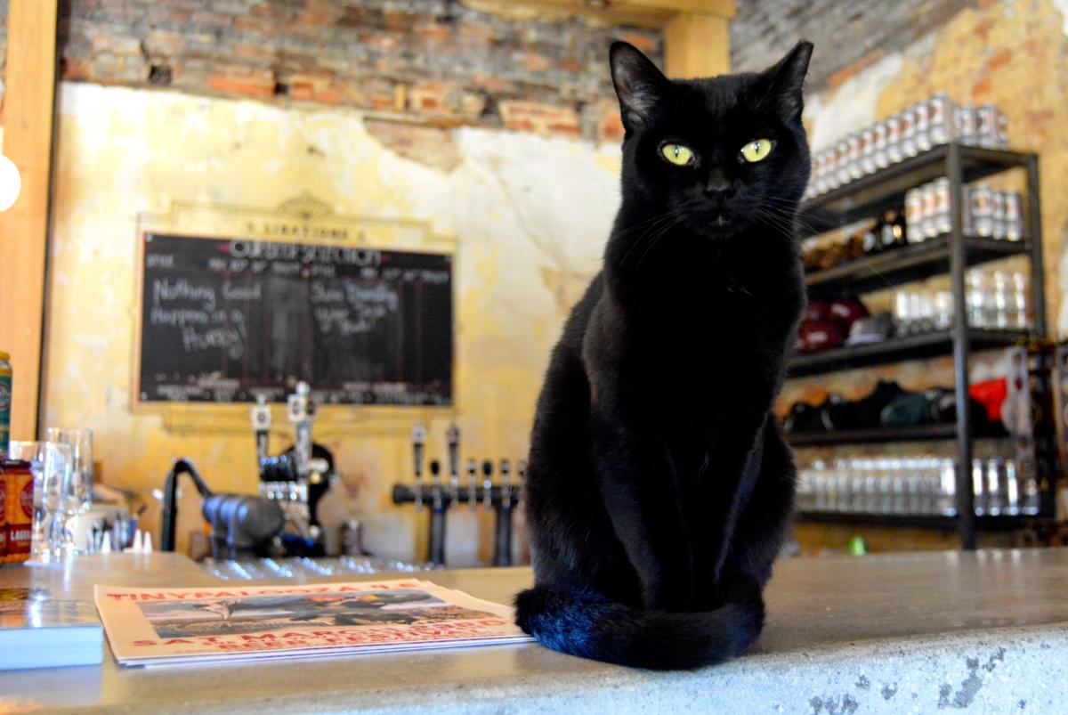 Slow Pour Brewing Company Taking Advantage Of Planned