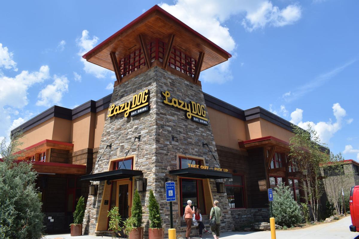 The Dish Lazy Dog Restaurant And Bar News Gwinnettdailypost Com