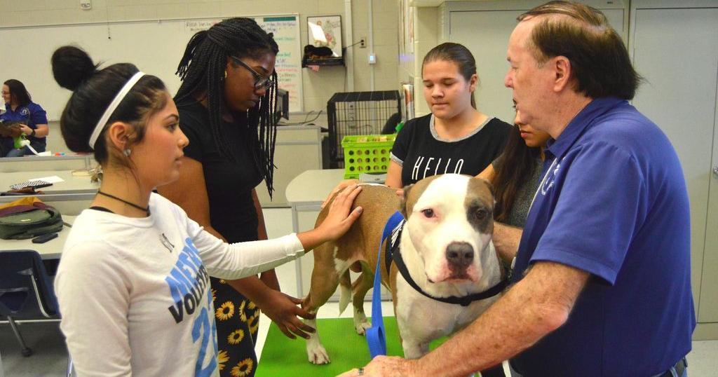 Therapy dogs visit Grayson Tech students | Slideshows ...