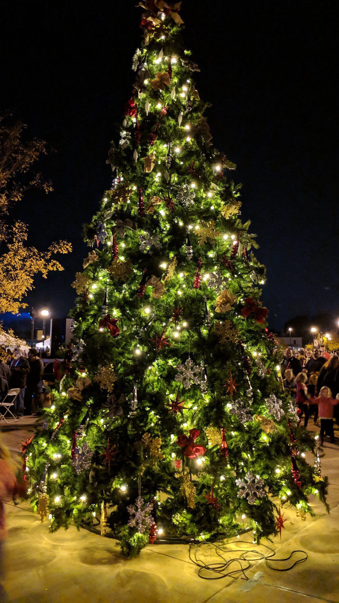 Tis The Season Your Guide To 2019 Gwinnett Christmas Tree