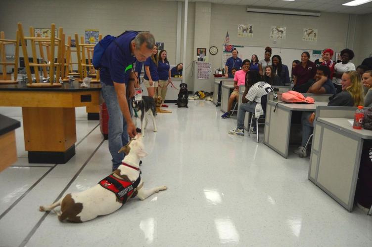 Therapy dogs visit Grayson Tech students | News | gwinnettdailypost.com
