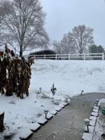 snow11.jpeg