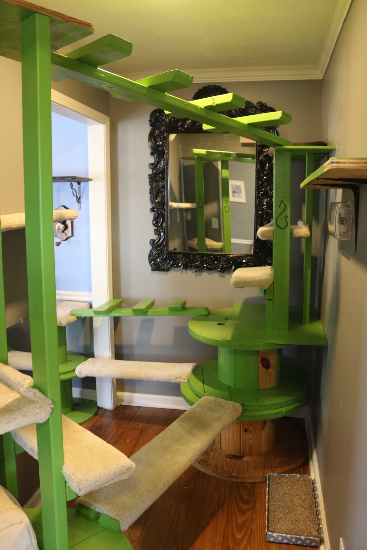 The Dish County's cat cafe, The Catfe, serves more than just