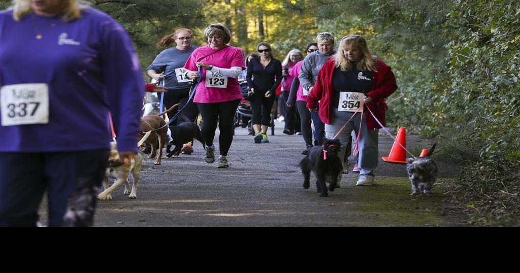 Hundreds honor the memory of Meredith Emerson at Ella’s Run | News ...