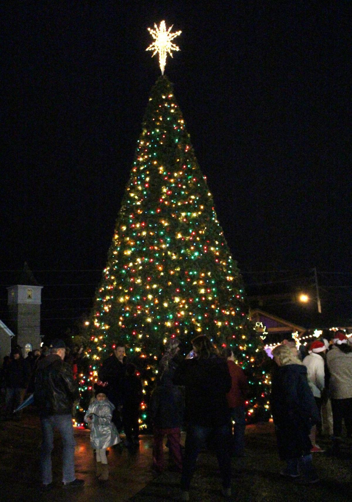 Tis The Season Your Guide To 2019 Gwinnett Christmas Tree 2019 Gwinnett Christmas Tree