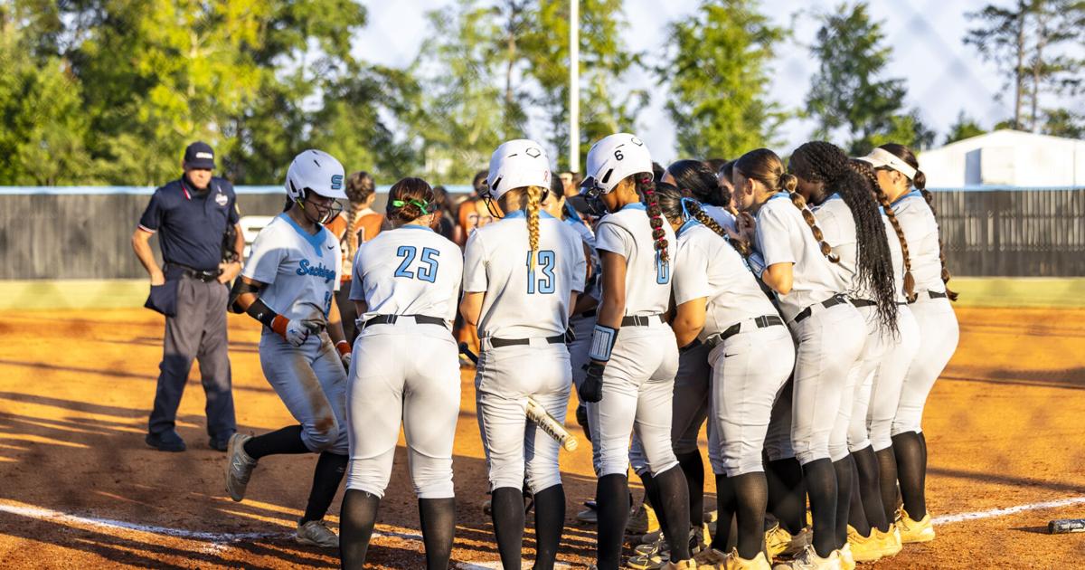 Seckinger Softball Keeps Rolling With Win Over Lanier