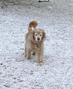 snow13.jpeg