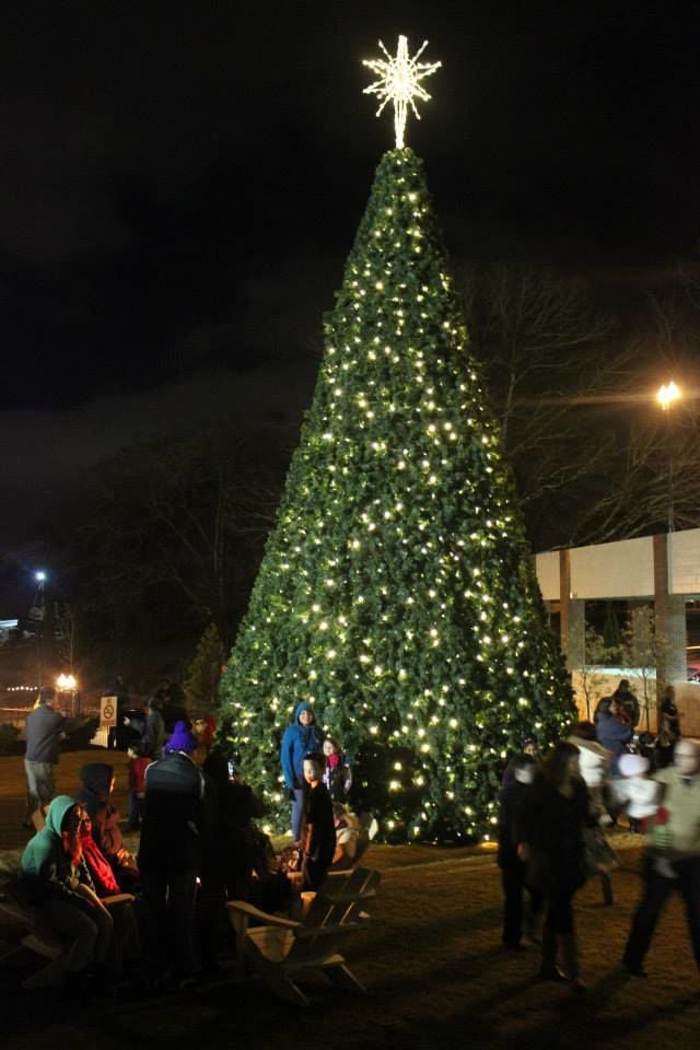 Tis The Season Your Guide To 2019 Gwinnett Christmas Tree 2019 Gwinnett Christmas Tree