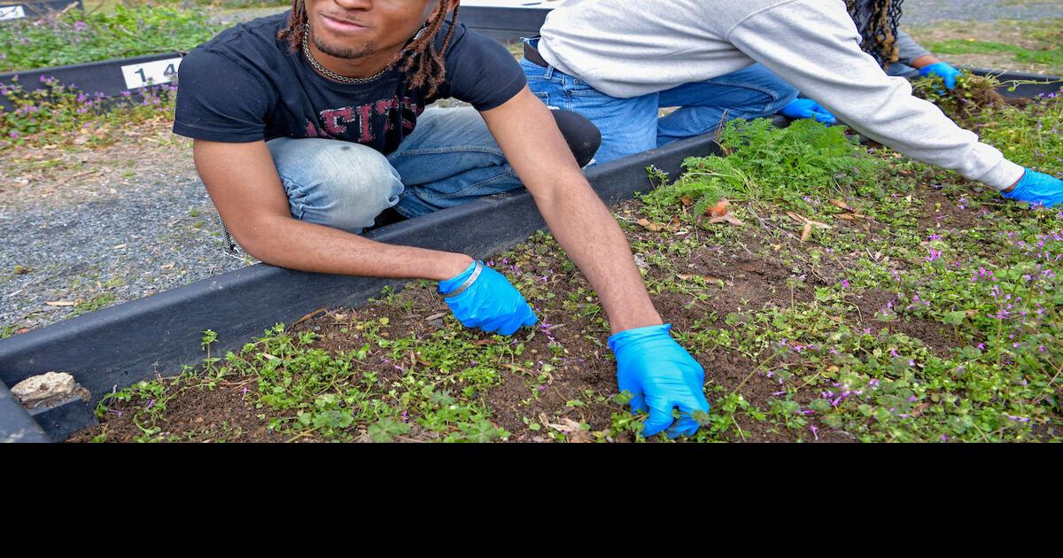 GGC students learn, grow, serve the community during spring break