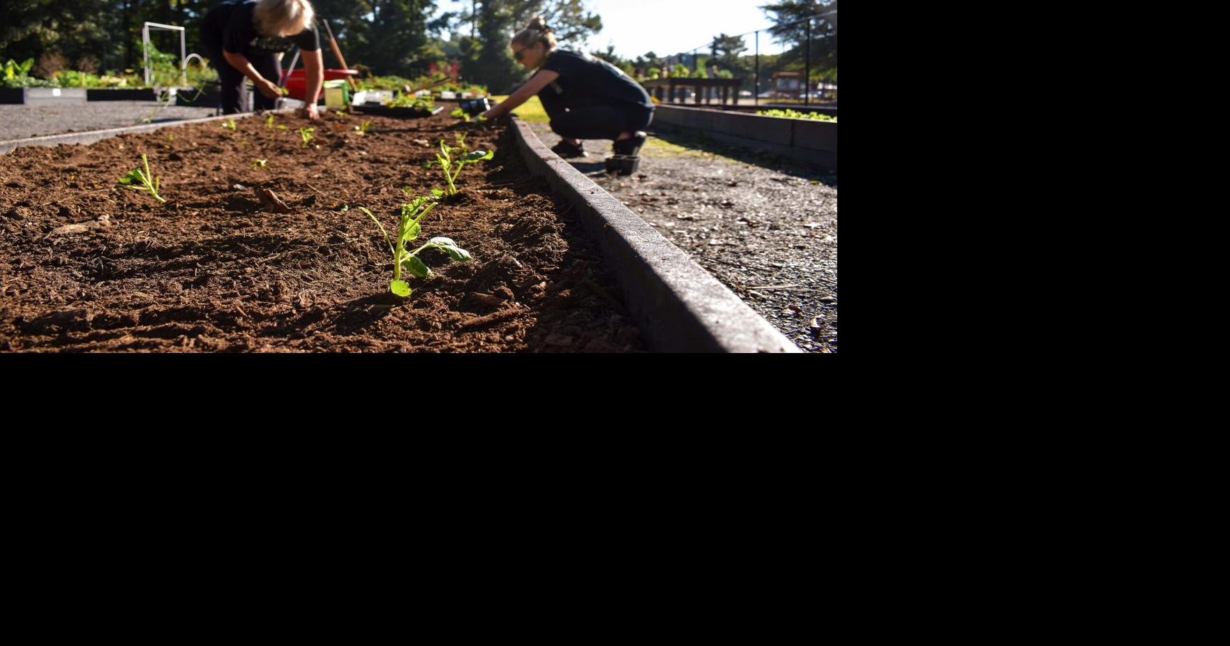 Registration open for County community garden plots News