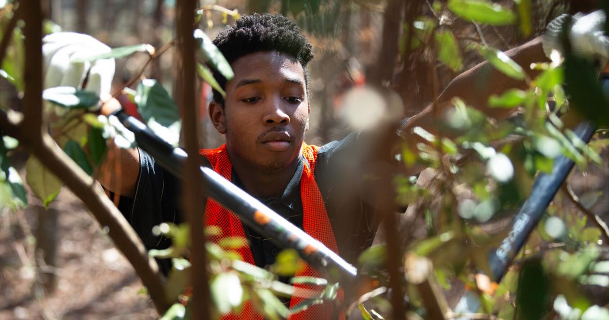 Why these College students skipped the typical spring