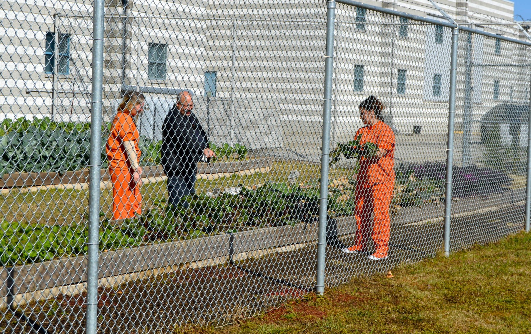 Gwinnett County Jail Garden Program Gives Inmates New Outlook ...