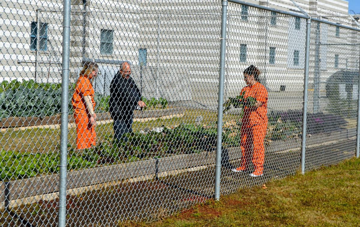 County Jail garden program gives inmates new outlook