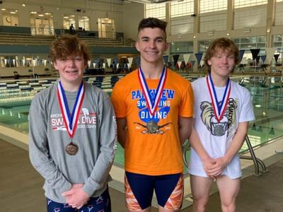 Parkview's Thomas Forbes wins Gwinnett boys diving championship