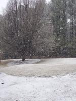 snow22.jpeg