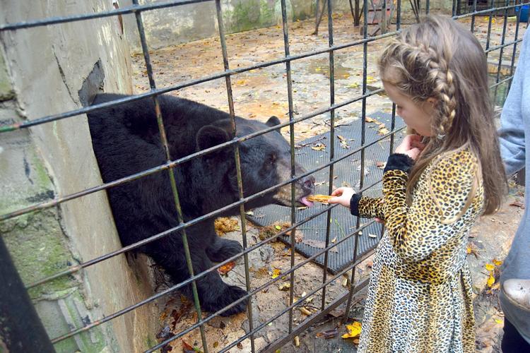 Yellow River Wildlife Sanctuary owners want to promote animal appreciation at former game ranch | News Yellow River Wildlife Sanctuary owners want to promote animal appreciation at former game ranch | News