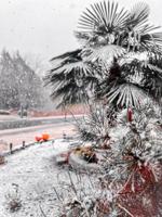 snow27.jpeg