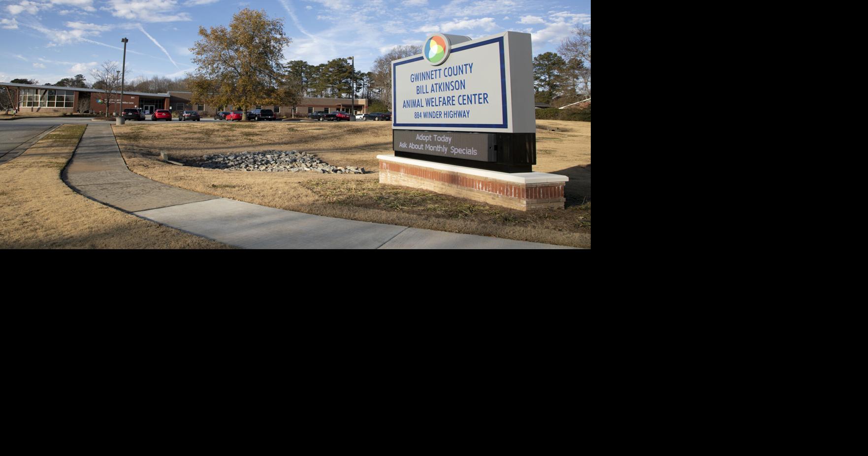 Rabid Fox Captured After Biting Someone In Lilburn News