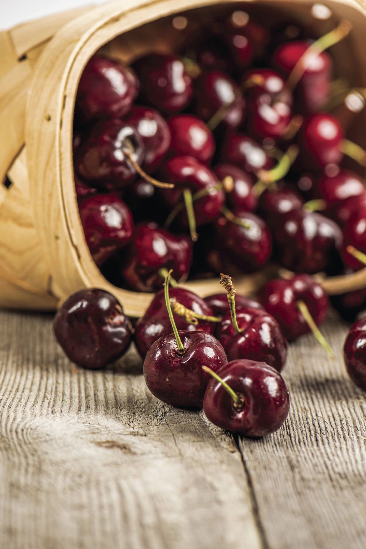 Tart cherries