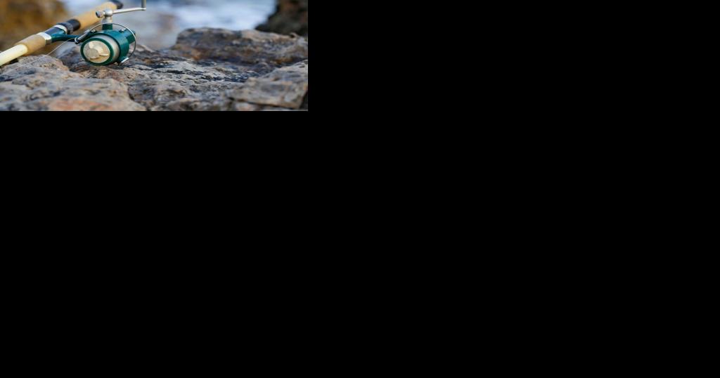 Georgia House passes fishing rights bill - Vimarsana News