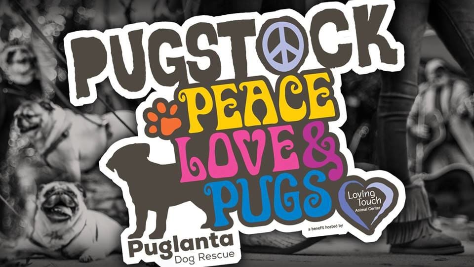 Puglanta Dog Rescue holding fundraiser Saturday | Entertainment | Puglanta Dog Rescue holding fundraiser Saturday | Entertainment |