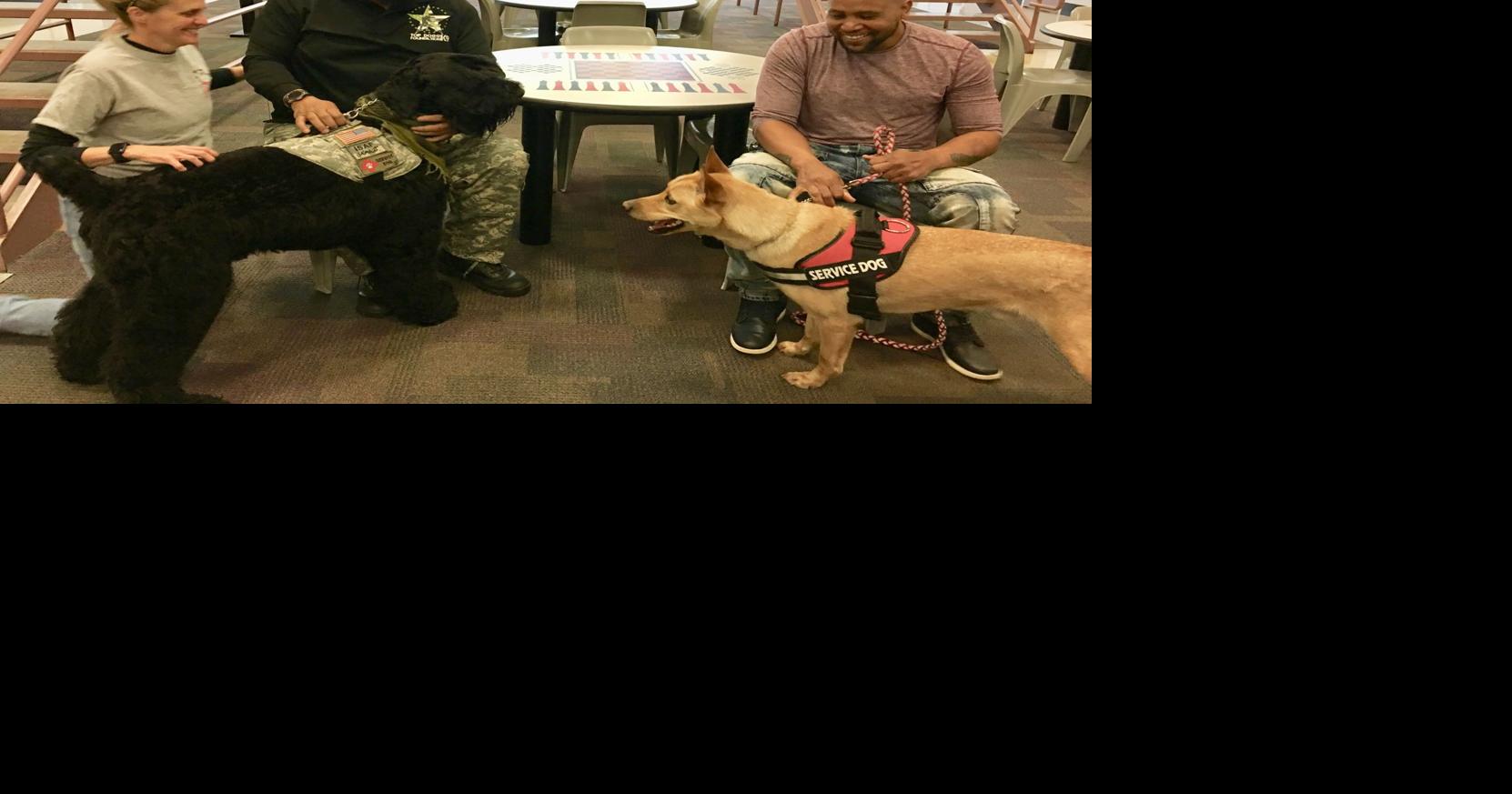 can you have service dogs in jail