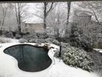 snow40.jpeg