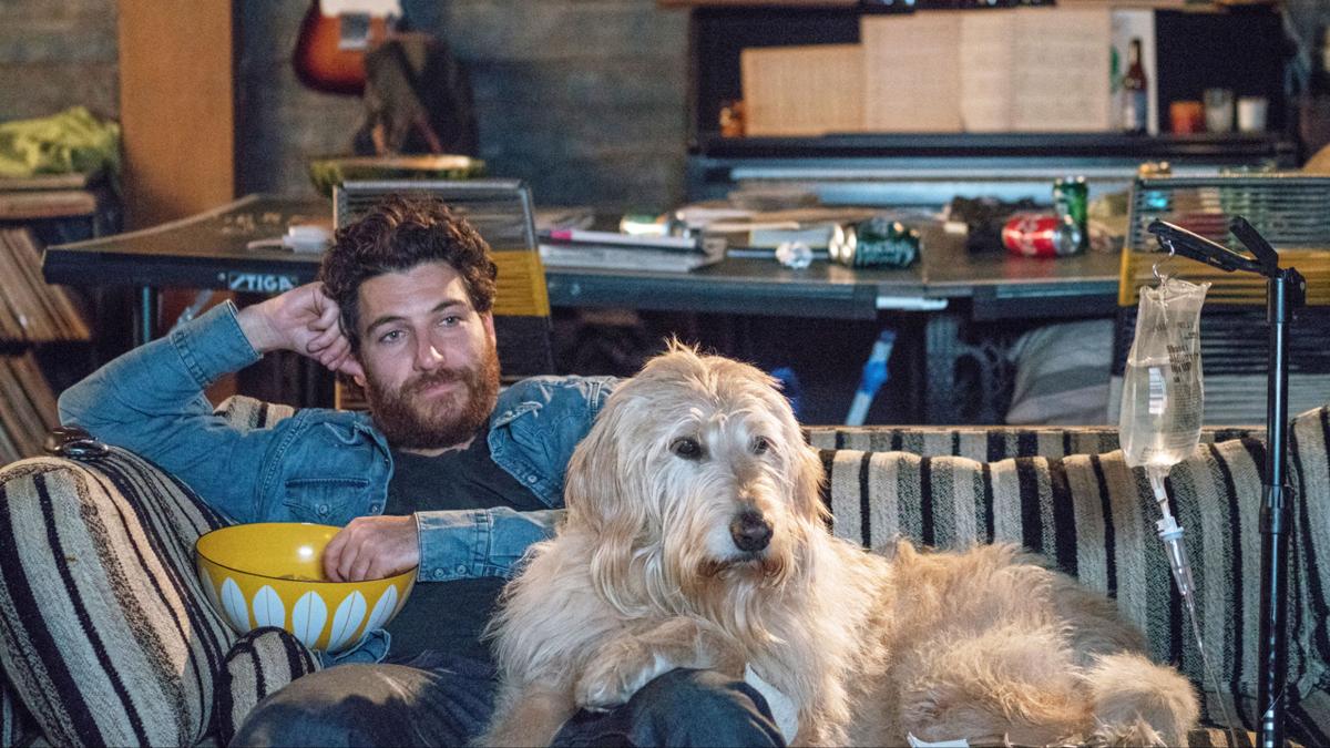 Wallpaper Movie Review The Cute And Cuddly Upstage Actors In Dog Days For iPhone Free